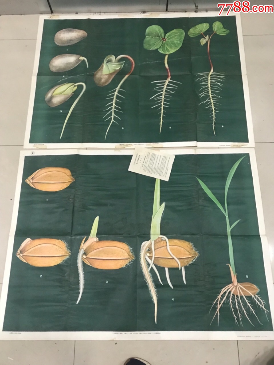 欧冠8强抽签效果出炉:曼联遭遇巴萨 尤文利物浦都获大礼包|beat365官网(图1) beat365官网