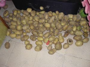 beat365亚洲体育官方网站