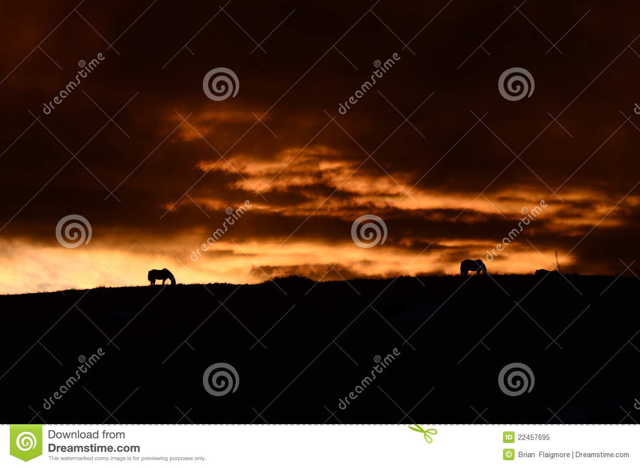 beat·365-
德甲领跑欧冠淘汰赛 英超四强只获一胜 谁居五大联赛之首