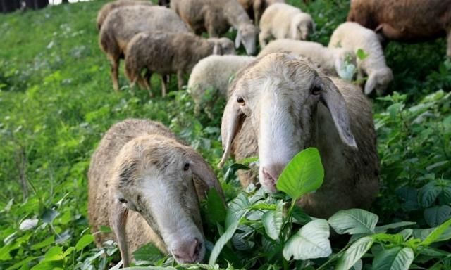 beat365亚洲体育官方网站-刑法修正案新增超员超速入危险驾驶罪 安徽已立案20起(图2) beat365官网