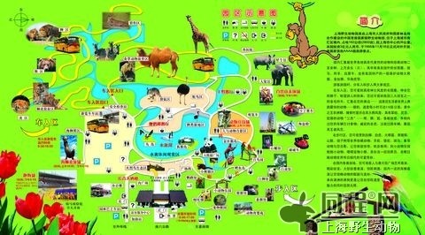 梅花社区:积极开展罂粟排查工作‘beat365亚洲体育官方网站’(图4) beat·365