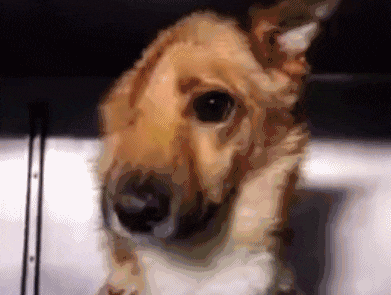 beat365亚洲体育官方网站