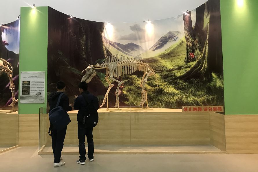 beat365亚洲体育官方网站